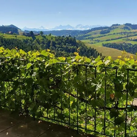 In Einem Heimeligen Berner-stoeckli By Interhome Oberbalm