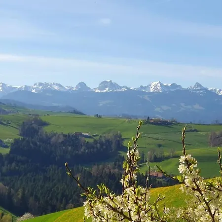 In Einem Heimeligen Berner-stoeckli By Interhome *