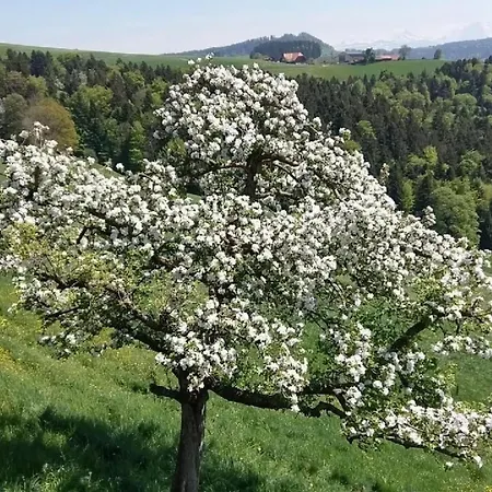 In Einem Heimeligen Berner-stoeckli By Interhome شقة *