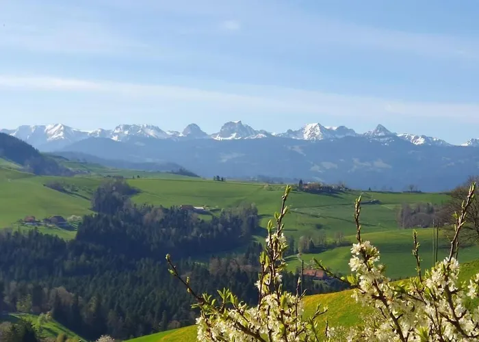 In Einem Heimeligen Berner-stoeckli By Interhome *